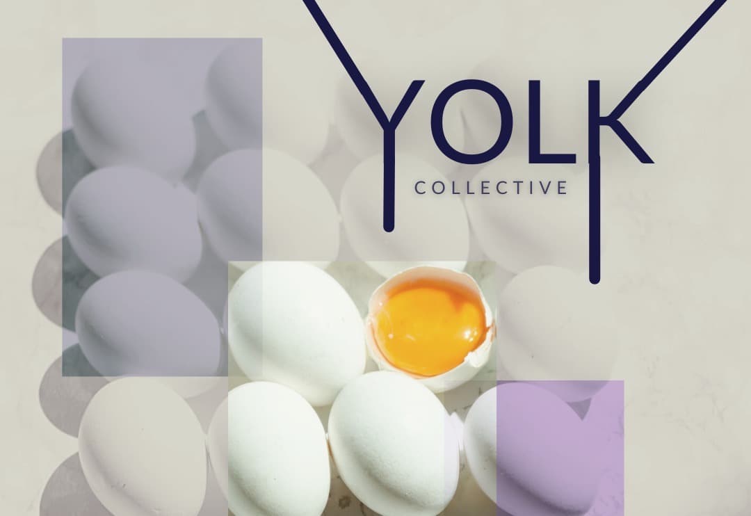 yolk image